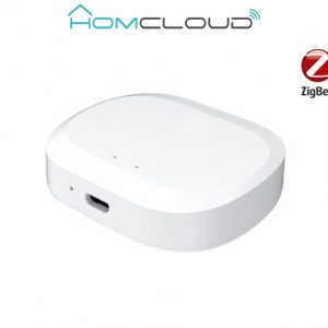 Centralina intelligente Hub - Zigbee+Bluetooth